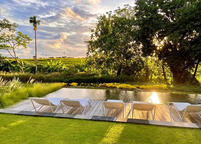 别墅 La Maison D'ulysse - Luxury 4-bedroom With Pool In Canggu 科洛布坎