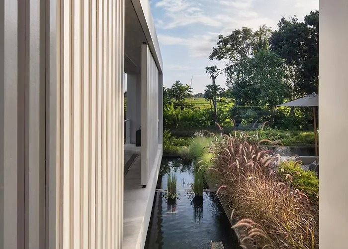 La Maison D'ulysse - Luxury 4-bedroom With Pool In Canggu 科洛布坎