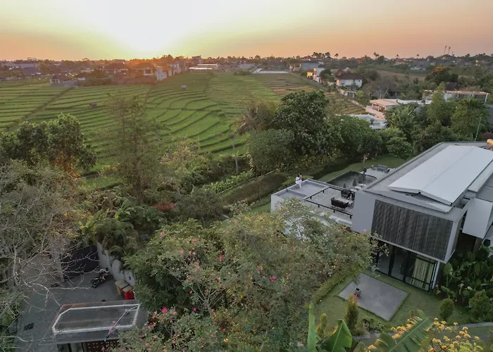 别墅 La Maison D'ulysse - Luxury 4-bedroom With Pool In Canggu 科洛布坎